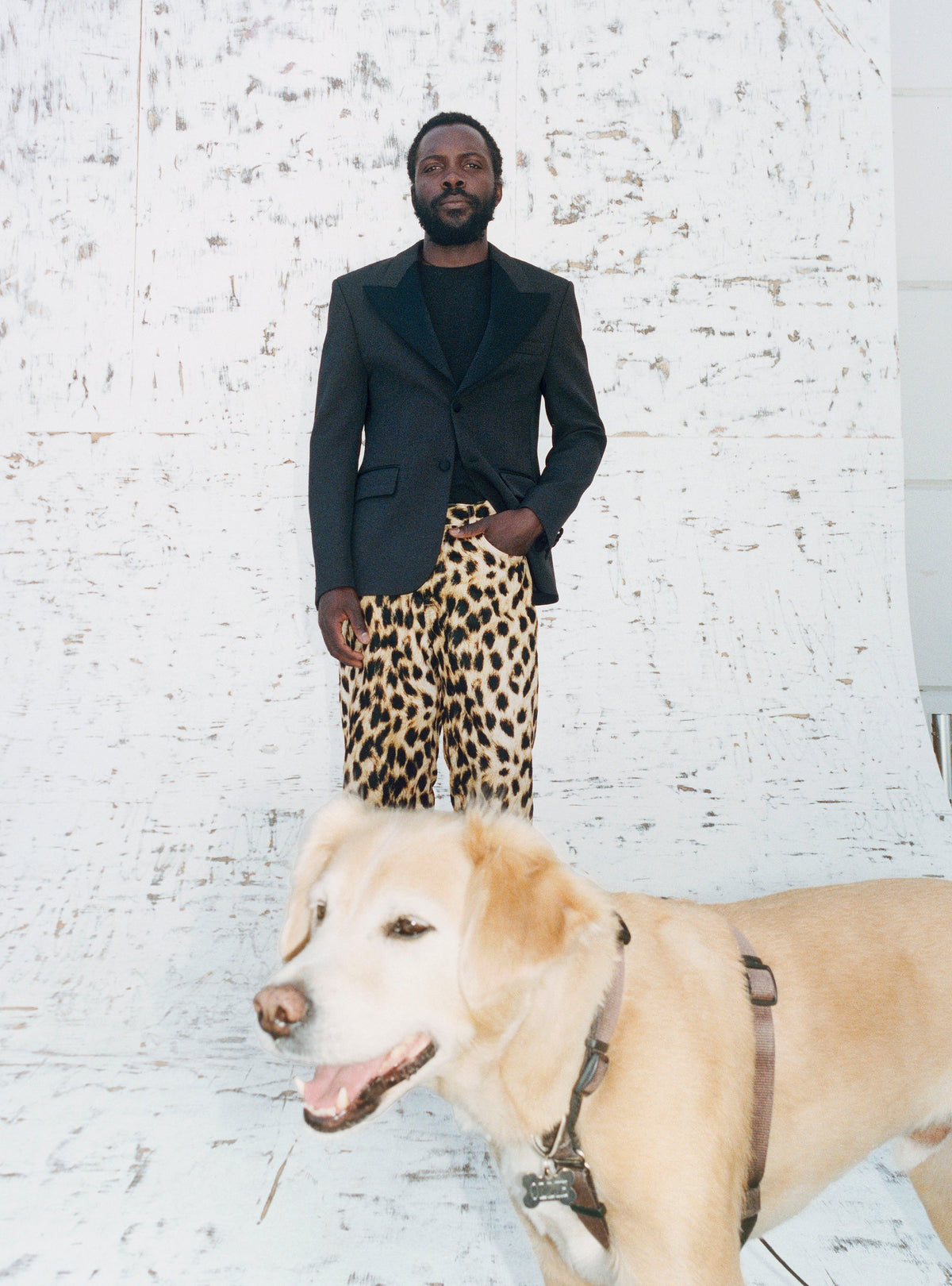 Stüssy Fall '26 Collection