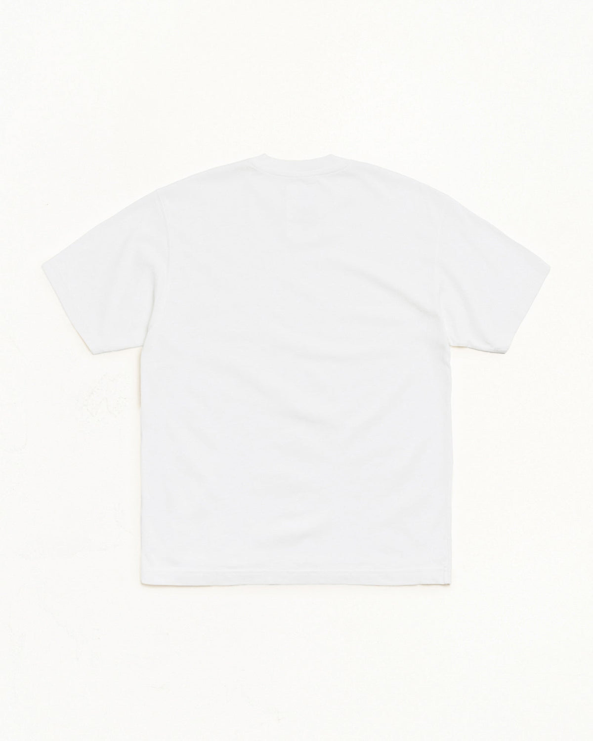 Garment Dyed SS Tee t-shirt in White, back view, midweight garment-dyed cotton.