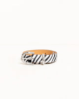 Hairy Zebra Pattern