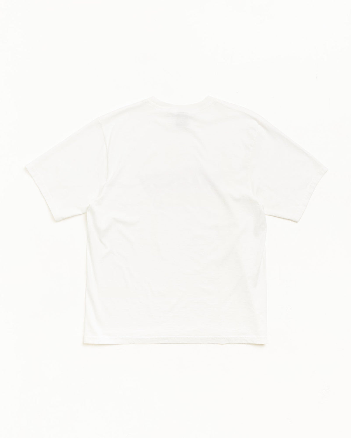 Garment Co. Pig. Dyed Tee Unisex Short Sleeve In Natural