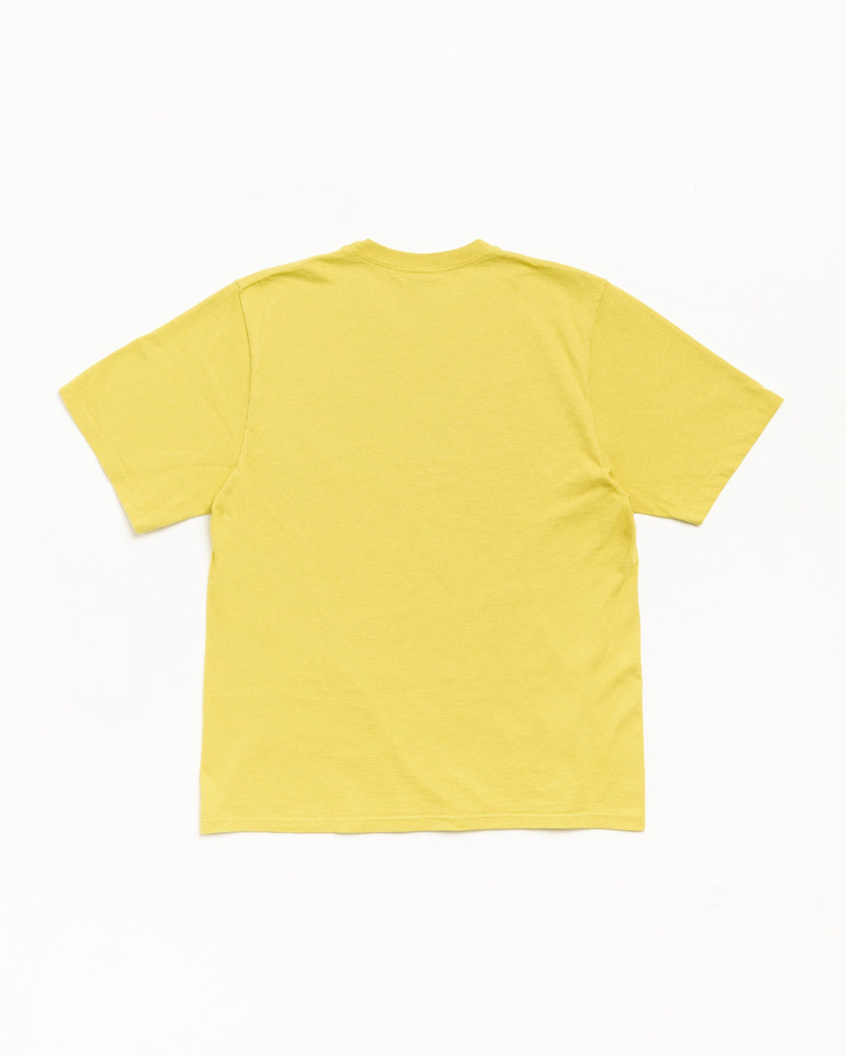 Garment Co. Pig. Dyed Tee Unisex Short Sleeve In Palm