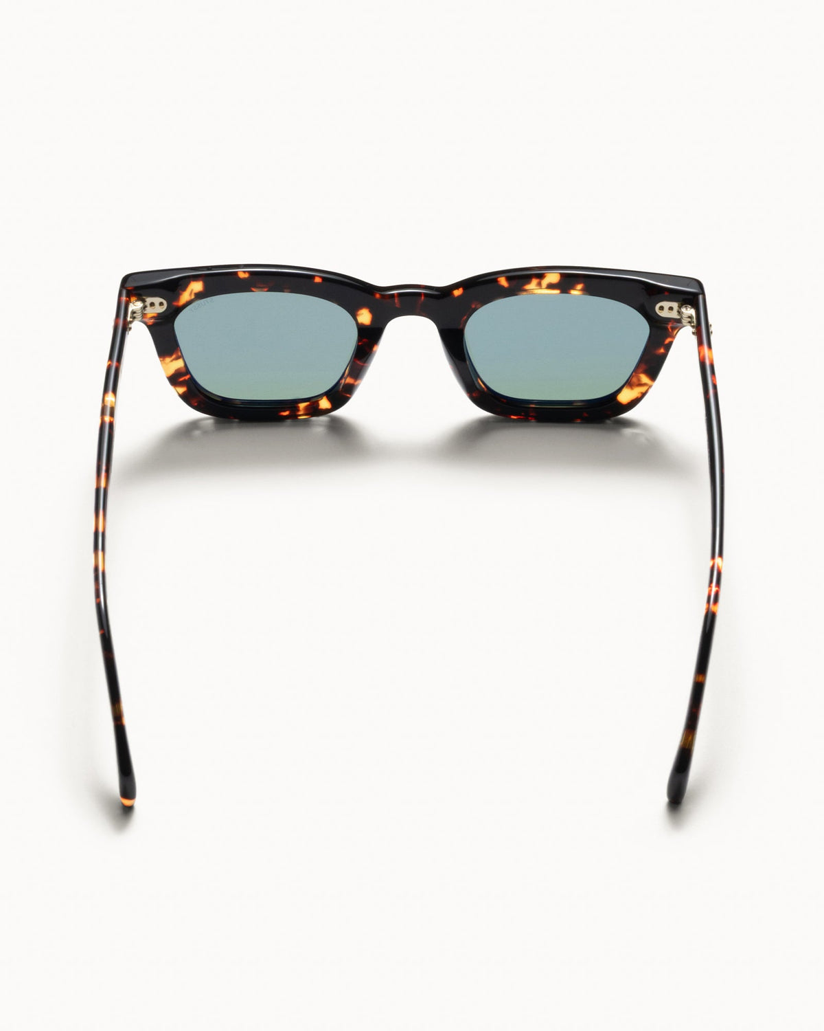 Ace Sunglasses Accessories In Tortoise/dark Green Lens