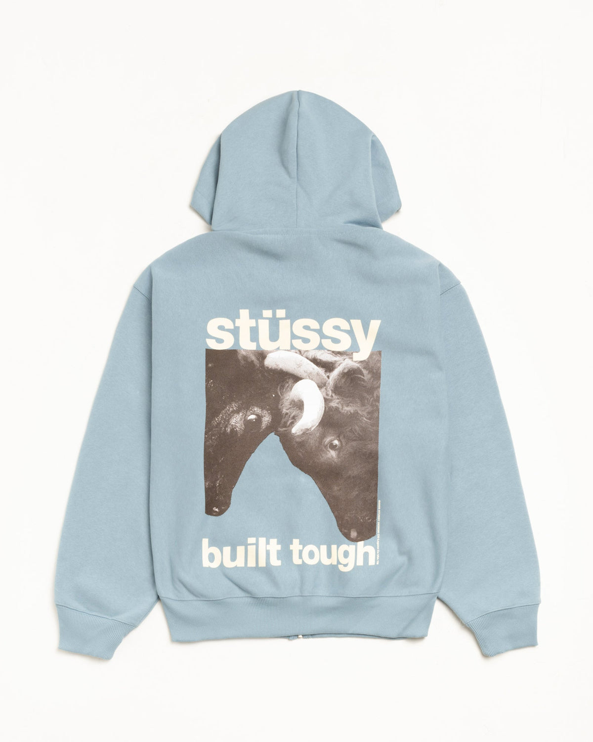 Holiday '25 Collection
